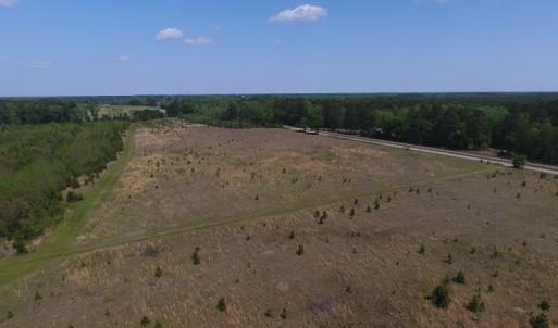 Photo #5 of SOLD property in Causey Rd, Nichols, SC 167.5 acres