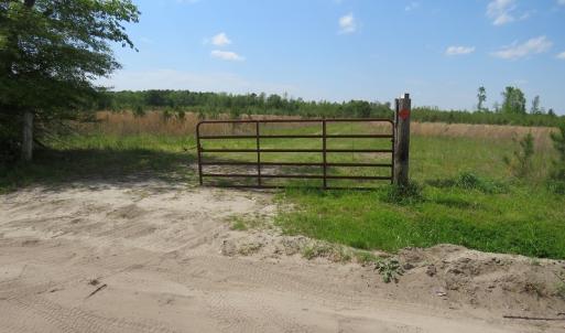 Photo #7 of SOLD property in Causey Rd, Nichols, SC 167.5 acres