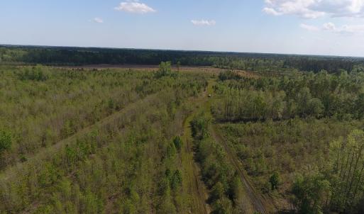 Photo #9 of SOLD property in Causey Rd, Nichols, SC 167.5 acres