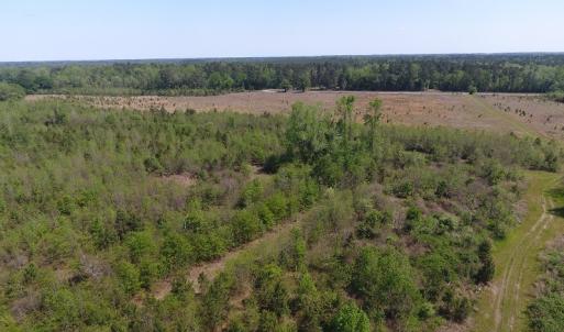 Photo #10 of SOLD property in Causey Rd, Nichols, SC 167.5 acres