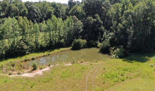 Photo #3 of SOLD property in 3422 SC 41, Mullins, SC 111.0 acres