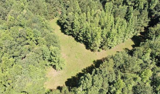 Photo #4 of SOLD property in 3422 SC 41, Mullins, SC 111.0 acres