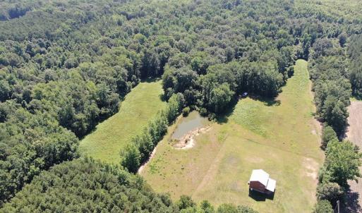 Photo #5 of SOLD property in 3422 SC 41, Mullins, SC 111.0 acres