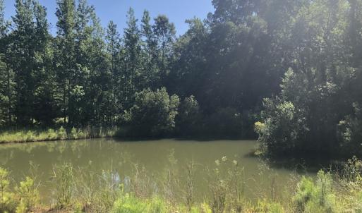 Photo #17 of SOLD property in 3422 SC 41, Mullins, SC 111.0 acres
