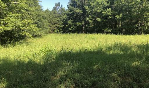 Photo #23 of SOLD property in 3422 SC 41, Mullins, SC 111.0 acres