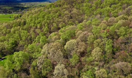 Photo #4 of 1276 Mountain Trail Rd, Thaxton, VA 35.6 acres