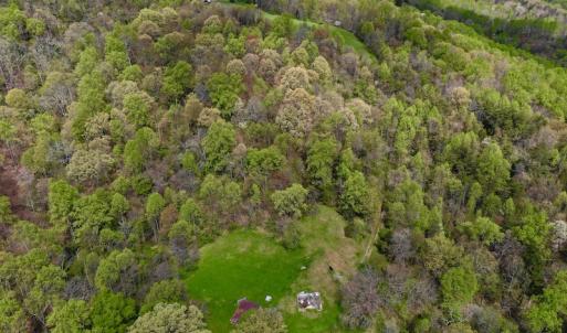 Photo #6 of 1276 Mountain Trail Rd, Thaxton, VA 35.6 acres