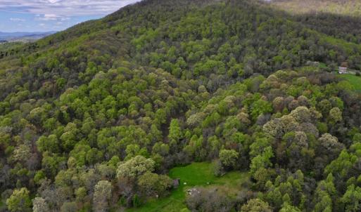 Photo #8 of 1276 Mountain Trail Rd, Thaxton, VA 35.6 acres