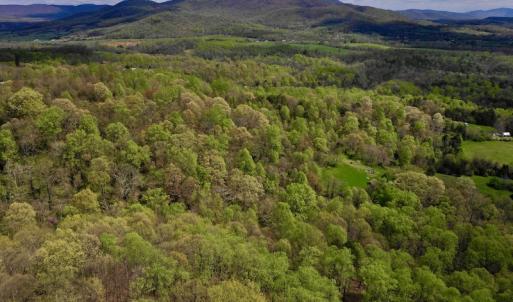 Photo #10 of 1276 Mountain Trail Rd, Thaxton, VA 35.6 acres