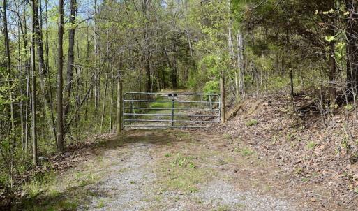Photo #18 of 1276 Mountain Trail Rd, Thaxton, VA 35.6 acres