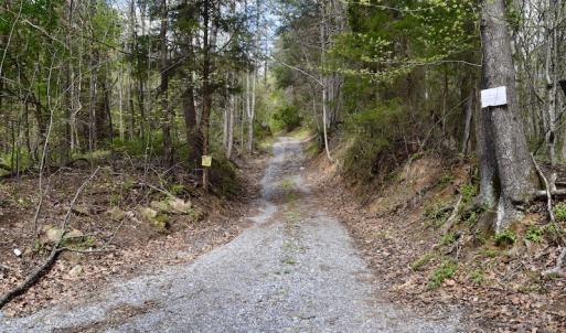 Photo #19 of 1276 Mountain Trail Rd, Thaxton, VA 35.6 acres