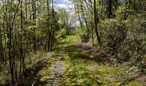 Photo #21 of 1276 Mountain Trail Rd, Thaxton, VA 35.6 acres