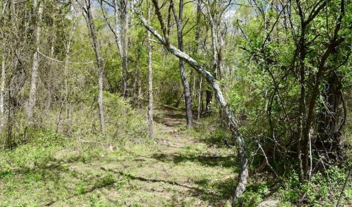 Photo #25 of 1276 Mountain Trail Rd, Thaxton, VA 35.6 acres