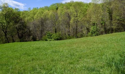 Photo #26 of 1276 Mountain Trail Rd, Thaxton, VA 35.6 acres