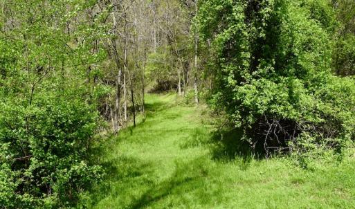 Photo #29 of 1276 Mountain Trail Rd, Thaxton, VA 35.6 acres