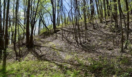Photo #31 of 1276 Mountain Trail Rd, Thaxton, VA 35.6 acres