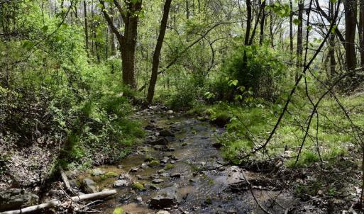 Photo #32 of 1276 Mountain Trail Rd, Thaxton, VA 35.6 acres