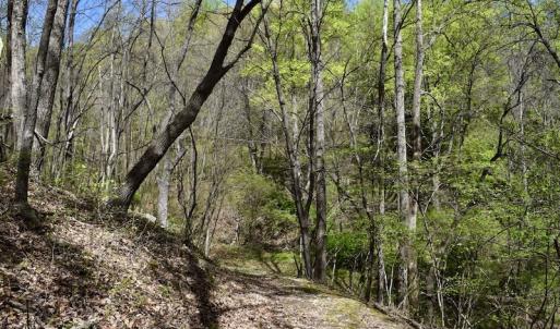 Photo #34 of 1276 Mountain Trail Rd, Thaxton, VA 35.6 acres