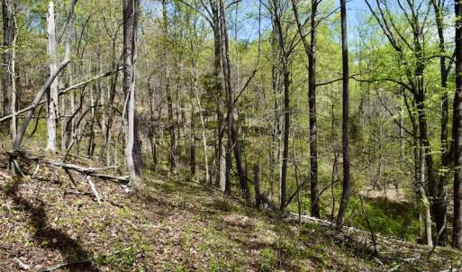 Photo #35 of 1276 Mountain Trail Rd, Thaxton, VA 35.6 acres