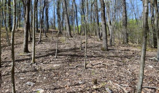 Photo #36 of 1276 Mountain Trail Rd, Thaxton, VA 35.6 acres