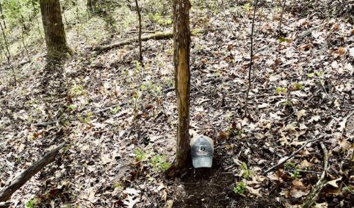 Photo #37 of 1276 Mountain Trail Rd, Thaxton, VA 35.6 acres
