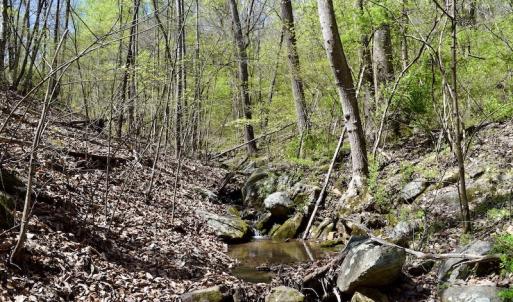 Photo #40 of 1276 Mountain Trail Rd, Thaxton, VA 35.6 acres