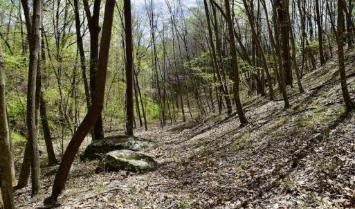Photo #42 of 1276 Mountain Trail Rd, Thaxton, VA 35.6 acres