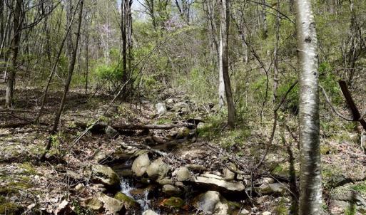 Photo #43 of 1276 Mountain Trail Rd, Thaxton, VA 35.6 acres