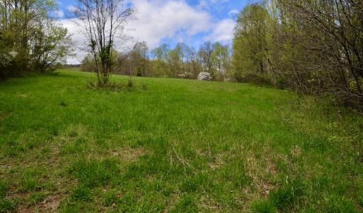 Photo #44 of 1276 Mountain Trail Rd, Thaxton, VA 35.6 acres