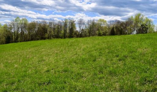 Photo #47 of 1276 Mountain Trail Rd, Thaxton, VA 35.6 acres