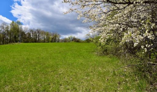 Photo #48 of 1276 Mountain Trail Rd, Thaxton, VA 35.6 acres