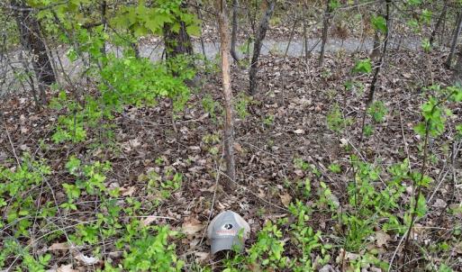 Photo #49 of 1276 Mountain Trail Rd, Thaxton, VA 35.6 acres