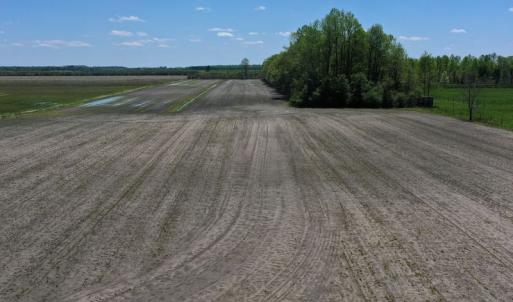 Photo #23 of SOLD property in 441 Ballahack Road , Chesapeake, VA 22.8 acres