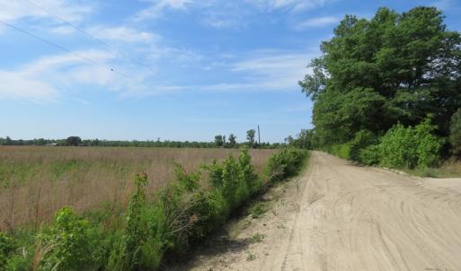 Photo #3 of SOLD property in Boyd Road, Fairmont, NC 14.4 acres