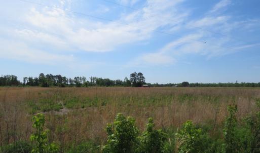 Photo #4 of SOLD property in Boyd Road, Fairmont, NC 14.4 acres
