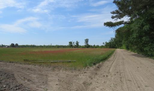 Photo #12 of SOLD property in Boyd Road, Fairmont, NC 3.4 acres