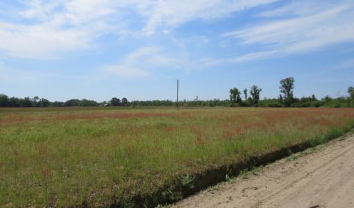 Photo #13 of SOLD property in Boyd Road, Fairmont, NC 3.4 acres
