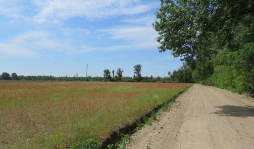 Photo #3 of SOLD property in Boyd Road, Fairmont, NC 3.4 acres