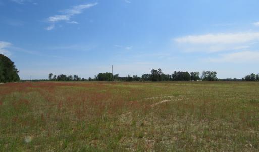 Photo #4 of SOLD property in Boyd Road, Fairmont, NC 3.4 acres