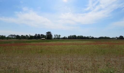 Photo #5 of SOLD property in Boyd Road, Fairmont, NC 3.4 acres