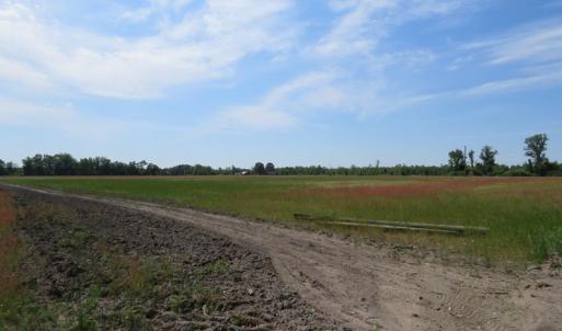 Photo #6 of SOLD property in Boyd Road, Fairmont, NC 3.4 acres