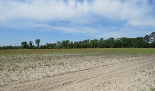 Photo #8 of SOLD property in Boyd Road, Fairmont, NC 3.4 acres