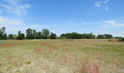 Photo #9 of SOLD property in Boyd Road, Fairmont, NC 3.4 acres