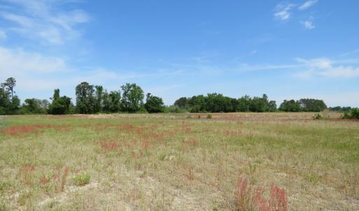 Photo #9 of SOLD property in Boyd Road, Fairmont, NC 3.4 acres