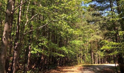 Photo #14 of SOLD property in off Country Lane, Gasburg, VA 7.0 acres