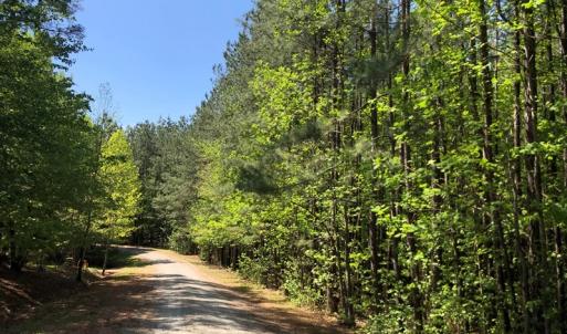 Photo #15 of SOLD property in off Country Lane, Gasburg, VA 7.0 acres