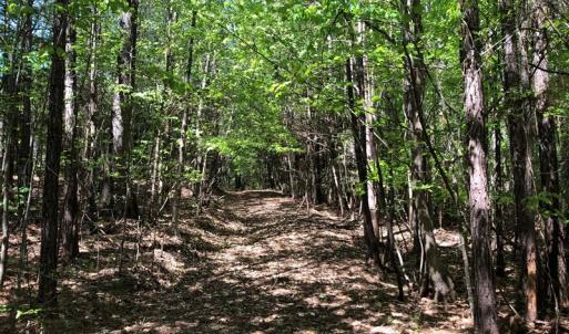 Photo #16 of SOLD property in off Country Lane, Gasburg, VA 7.0 acres