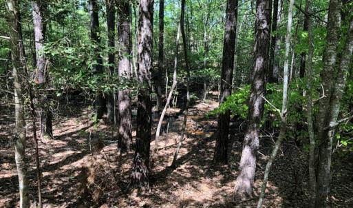 Photo #17 of SOLD property in off Country Lane, Gasburg, VA 7.0 acres