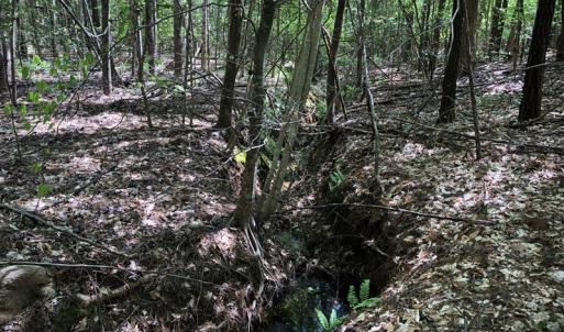 Photo #21 of SOLD property in off Country Lane, Gasburg, VA 7.0 acres