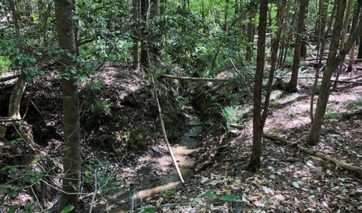 Photo #22 of SOLD property in off Country Lane, Gasburg, VA 7.0 acres